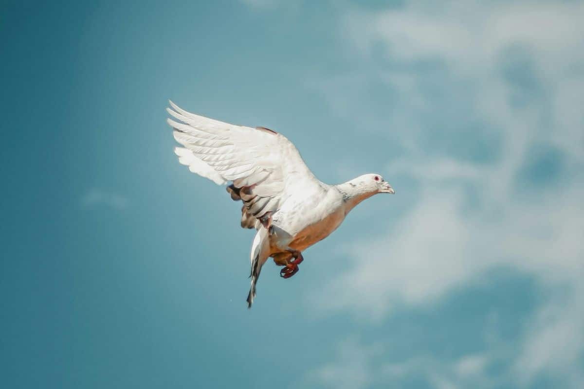 How to Improve Business Performance