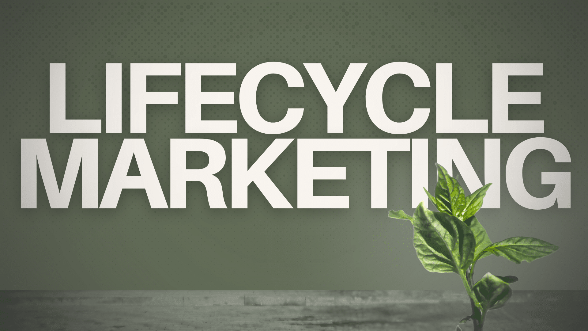 lifecycle marketing